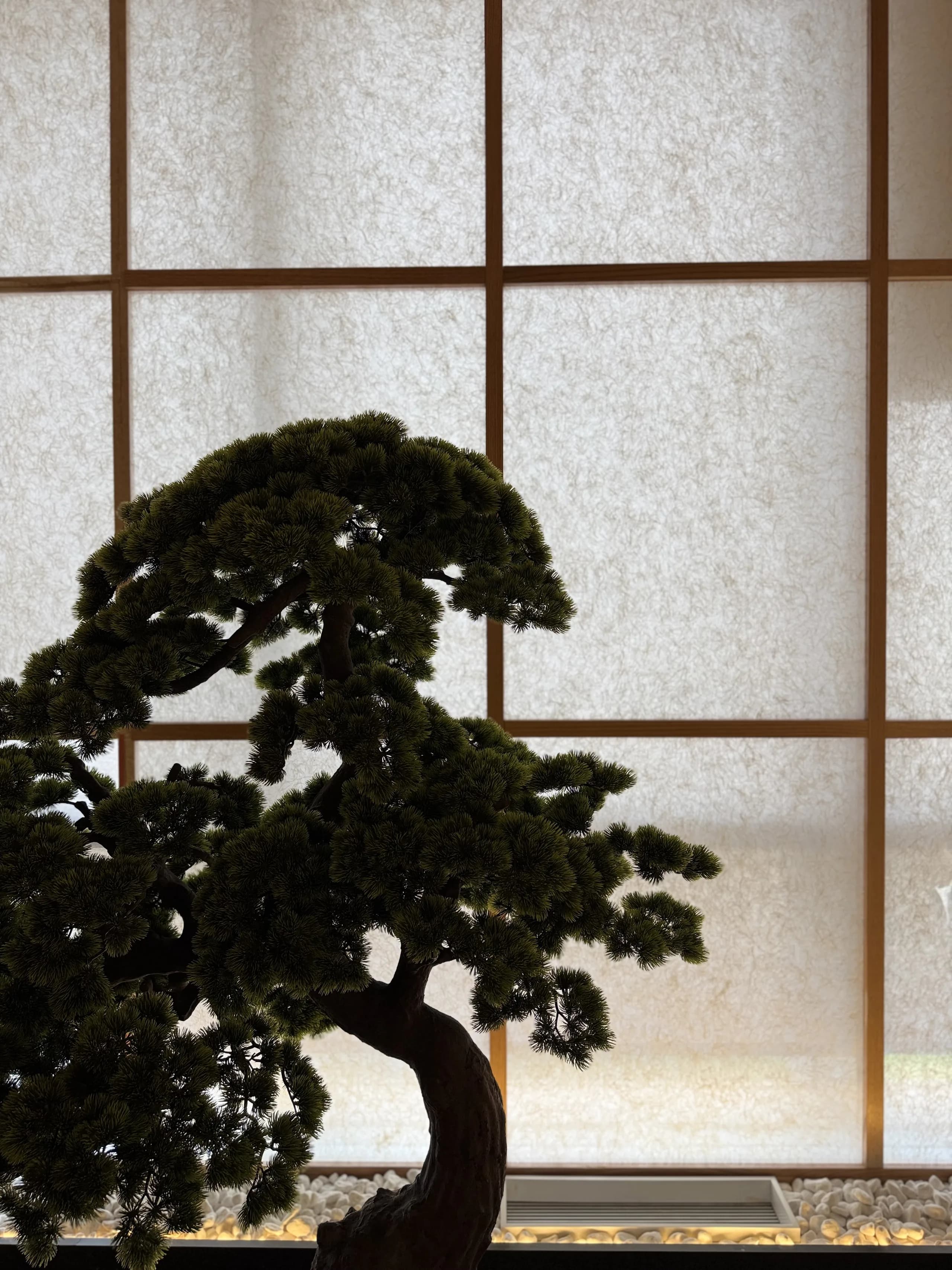 Axys Holding Office — view 10