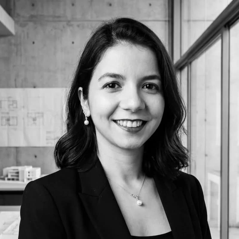 Ayşegül Ergin — Architect